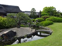 DSC03978