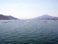 牡蠣の養殖筏とか