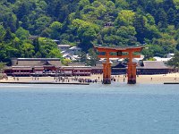 これが大鳥居！