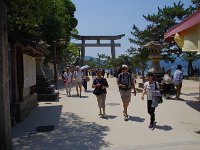 表参道は突然、外国に変身