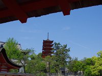 IMG 4821