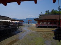 引き潮時の鳥居