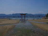 IMG 4836