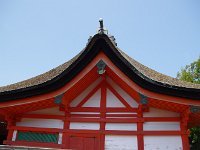 IMG 4847
