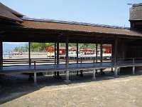 IMG 4863