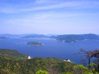 展望台より