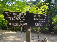 IMG 4918