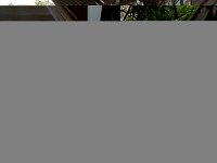 IMG 4942