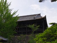 IMG 4957