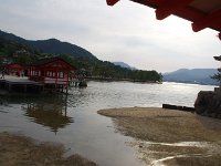 IMG 4961