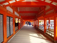 光の加減もイイですね