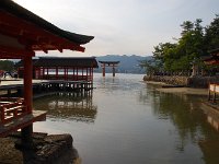 IMG 4975