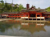 IMG 4976
