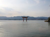 IMG 4977
