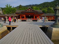 IMG 4979