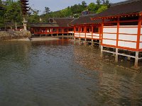 ここまで、水が押し寄せて来ました！