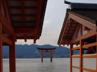 IMG 4983