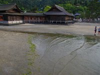 穏やかな満潮の波紋