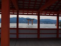 IMG 4986