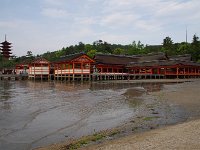 IMG 5005