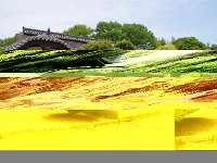 松がイイ！！