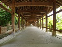 IMG 5126
