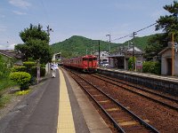 今朝乗ってきました
