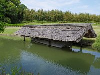 IMG 5155