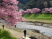 どこを撮る？
