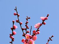 DSC 0473