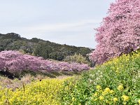 DSC 0806