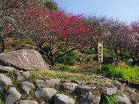 標識岩と看板