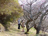 夢中で何を撮る