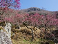 山頂を望む