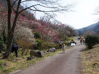 熱中カメラマンが二人