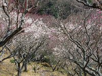 何処までも続く・・・