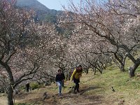 此方にも