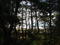 宿の窓辺より