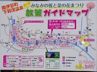 大体、見て回りましたよ