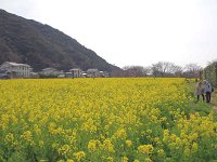 IMG 3085