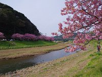 両岸に