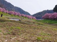 水辺より
