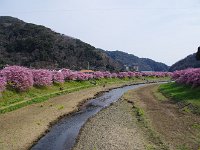 橋の上から