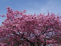 空も晴れ渡る