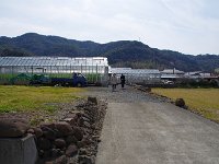 全景