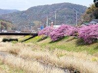 終着点・・・町外れ
