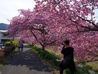 もどり道
