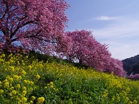 絶景！！が続きます