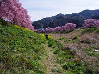 絶好の写真道
