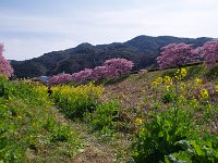 IMG 3174